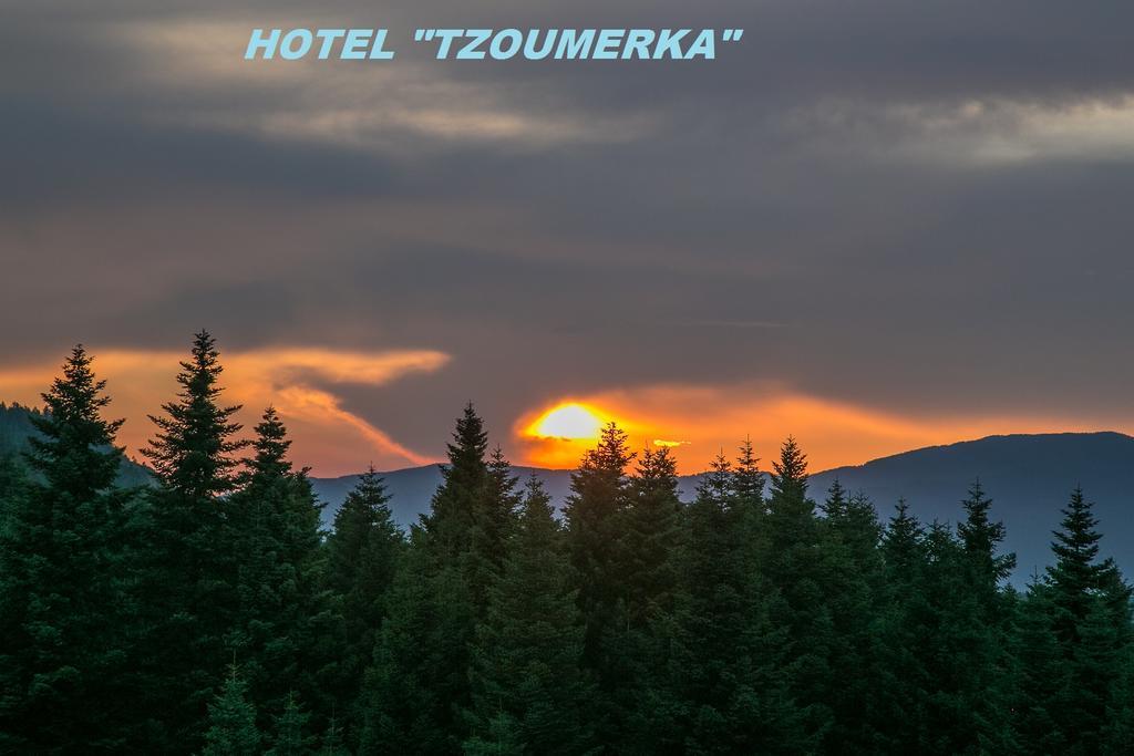 Hotel Tzoumerka ปรามานตา ภายนอก รูปภาพ